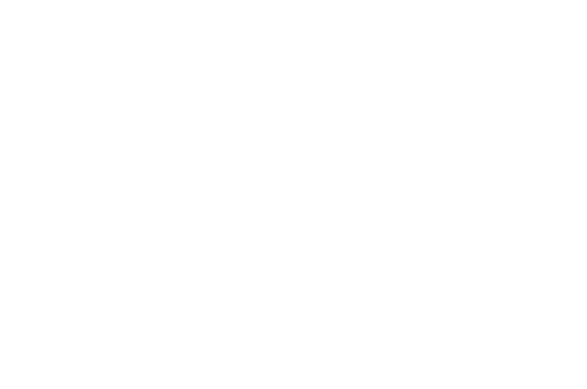 Prism Partners Inc.